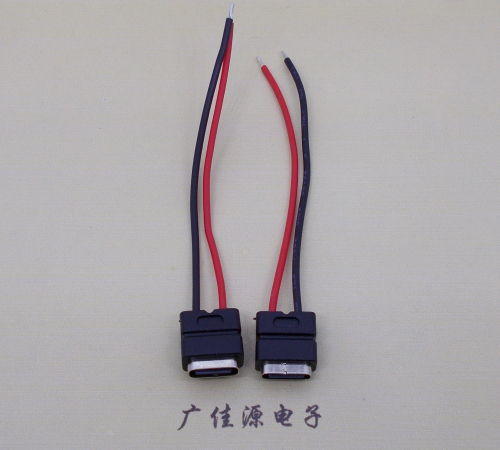 内蒙古type c2p防水母座焊线式带线注塑成型带接线端子/不带接线端子充电连接器